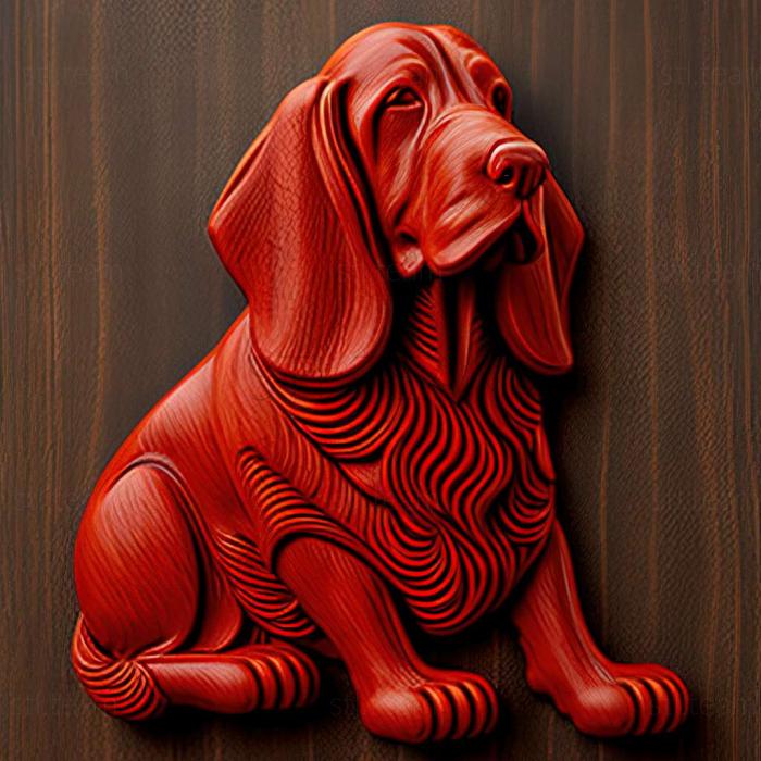 Red Breton Basset dog